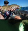 HENGJIA 26 PCS Minnow Fishing Lure Set - 4 Models - Fishing Tackle - 3