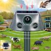 SK031 Solar Animal Repeller Ultrasonic Rat Bird Repeller - 2