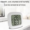 Mini Electronic Pet Temperature and Humidity Meter - Highly Precise - Home Use - 4