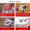 10 PCS Reusable Juice Bag Fruit Juicer - Accessories - 4