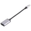 4K 60HZ Mini DP Female to Type-C Adapter Cable - 5