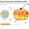 Household Flea Traps Insect Trap Lamp EU Plug - 2