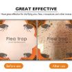 Household Flea Traps Insect Trap Lamp EU Plug - 5