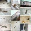 Transparent Sticky Mouse Trap Glue - Anti-Rodent Strong Sticky Board - 5