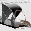 Automatic Mouse Trap Cage - Home Use - 4