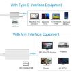 USB-C/Type-C 3.1 Male to Mini DP Female HD Converter - 12cm (Gold) - 7