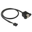 10 Pin Motherboard Female Header to 2 USB 2.0 Female Adapter Cable - 1