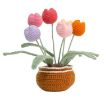 Picture of 5pcs/Set Large Potted Plant Crochet Starter Kit for Beginners with Step-by-Step Video Tutorials