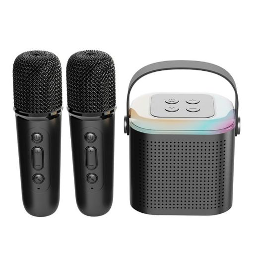 Portable Bluetooth Speaker Outdoor Karaoke Y1 Black - Double Wheat - 1