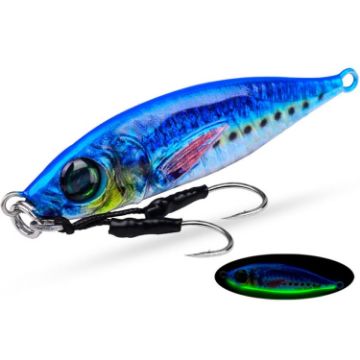 Picture of PROBEROS LF137 3D Spray Painted Bionic Lure Warp Bass Leader Fish Long Casting Freshwater Sea Luminous Fishing Bait, Size: 200g (Color C)