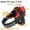 XL Black K9 Chest Strap Traction Rope for 28-40kg Dogs - 2