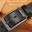 Picture of Dandali 110cm Men Rubberized Pin Buckle Belt Casual Vintage Waistband, Model: Style 7 (Coffee)