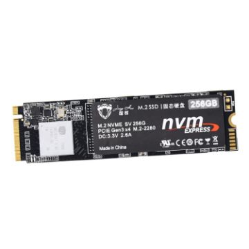JingHai M.2 PCIe NVMe SSD 256GB - High-Speed Notebook/Desktop Drive - 1