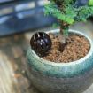 10PCS Bonsai Tools Gardening Products - Large Size Fertilizer Boxes - 5