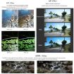 Insta360 GO 2/GO 3 JSR LS Camera Lens Filter: CPL - 5