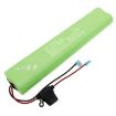 Bison 80 Battery Replacement - 1