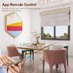 WiFi+RF Curtain Switch Module - On/Off Control - 4