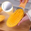 Stainless Steel Mango Slicing Tool - Fruit Peel Separator - 6