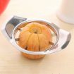 Stainless Steel Apple Cutter Slicer - Kitchen Accessories - Size:15x11cm - 5