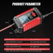 FOXSUR 12V Lithium Battery Charger with Battery Detection EU Plug - 3