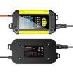 FOXSUR 12V Lithium Cattery Charger - Battery Detection (AU Plug) - 2