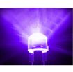 1000pcs 5mm Purple Light Water Clear LED Lamp - Pack of 1000 - 3