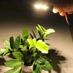 3W 6 LEDs SMD 2835 LED Module Lamp Ceiling Lighting Source - 4