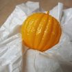Outdoor Fruit Fly Mosquito Citrus Trap Sticky Ball - 4