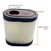 Tecumseh 36905 Air Filter Cleaner for LEV100 LEV115 LEV120 - 4