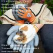 TPE Children Cartoon Gloves Hamster Parrot Size M Blue - 5