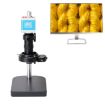 4K Dual Interface Electron Microscope Industrial Camera - 1