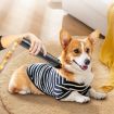 Dyson Pet Brush Head Set for V7 V8 V10 V11 Vacuum Cleaner - 2