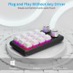 Customized RGB Wired Office Keyboard with 12 Shortcut Keys - 4