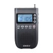 QINGLV QL-518 Portable Bluetooth Transmitter Radio (Black) - 1