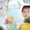M16 Fridge Deodorizer Negative Ion - Magnetic Mount - Freezer Odor Remover - 4