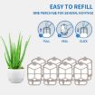 ZEVO M364/M364 MAX Insect Trap Mosquito Killer Refill 4pcs/Box - 6