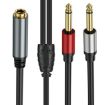 1m TRS Stereo Female to 2 x TS Male Audio Adapter Cable - 2