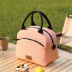 FRISCHE Portable Handheld Insulated Lunch Pack - Navy Blue - 2