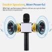 SDRD SD-08 Double Speakers Handheld KTV Karaoke Microphone - 9
