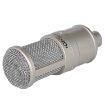 AQ-220 K Song Live Recording Microphone - 2