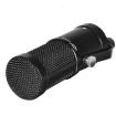 AQ-210 K Song Live Recording Capacitor Microphone - 2