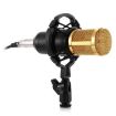BM-800 Studio Condenser Microphone with Shock Mount - Black - 2