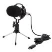 BM-700 USB Condenser Microphone - Professional Quality - 2