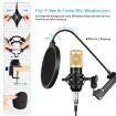 PULUZ Studio Broadcast Professional Singing Microphone Kit (Gold) - 3