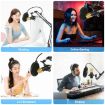 PULUZ Studio Broadcast Professional Singing Microphone Kit (Gold) - 7
