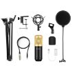PULUZ Studio Broadcast Professional Singing Microphone Kit (Gold) - 8