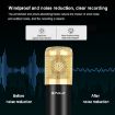 PULUZ Condenser Microphone Studio Broadcast Professional Singing Mic - 4