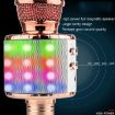 WS-858L LED Wireless Capacitance Microphone - Gold - 8