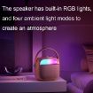 Havit P1 Portable Wireless Bluetooth Speaker Microphone Set - 3