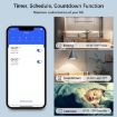 3CH WiFi Smart Switch for Alexa/Google Home/Tuya App - 7